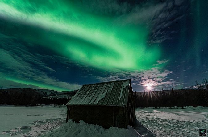Half Night Personalized Aurora Chase and Photography - Photography help for phones and proper cameras