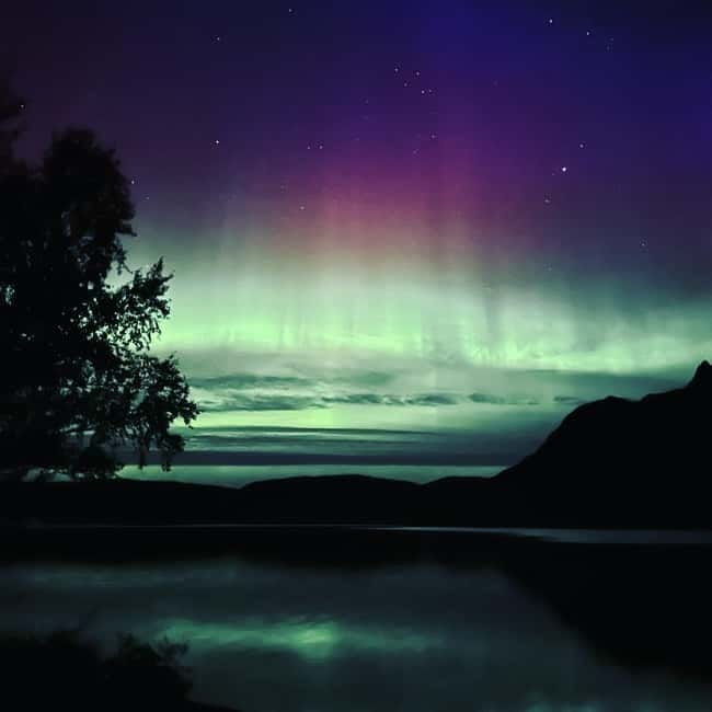 Harstad/Narvik: Northern Lights Tours with Second Day Chance - Starting from Harstad or Narvik