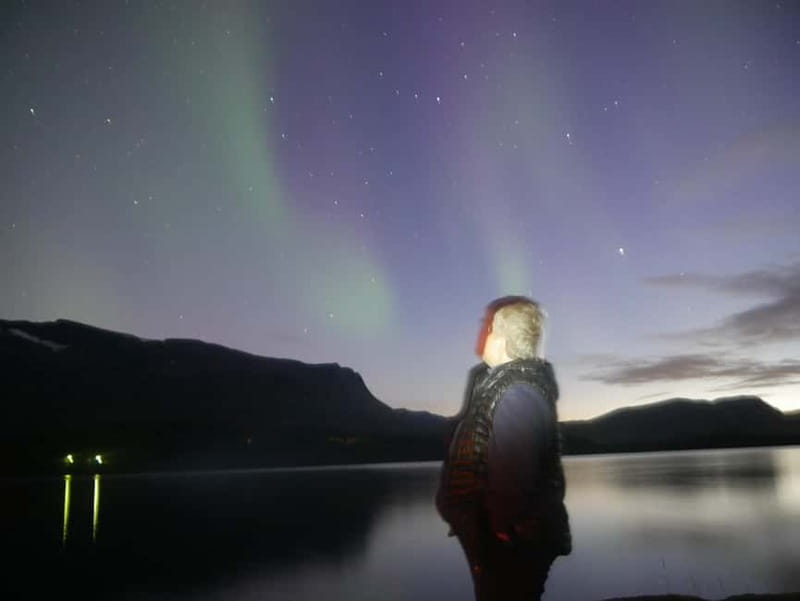 Harstad/Narvik: Northern Lights Tours with Second Day Chance - What the price means at $272