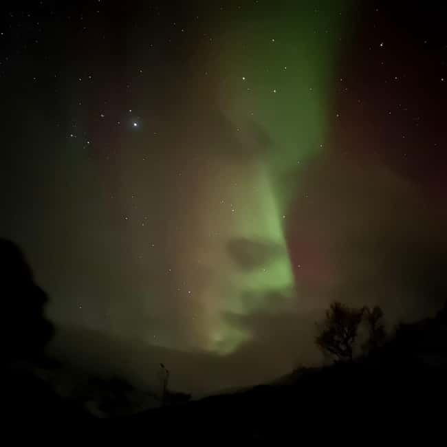 Harstad/Narvik: Northern Lights Tours with Second Day Chance - Who should book this experience