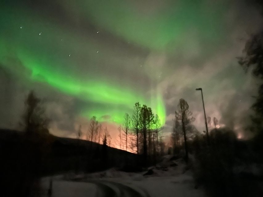 Harstad/Narvik: Northern Lights Tours with Second Day Chance - Booking details to check before you go