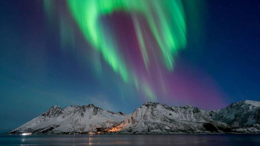 Henningsvær: Northern Lights Tour with Photographer - Key points at a glance