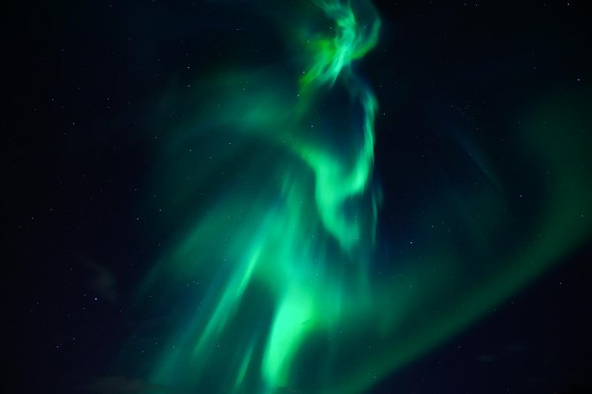 Hunt for the Northern lights in Kiruna - Abisko - Is the $251.19 price good value?