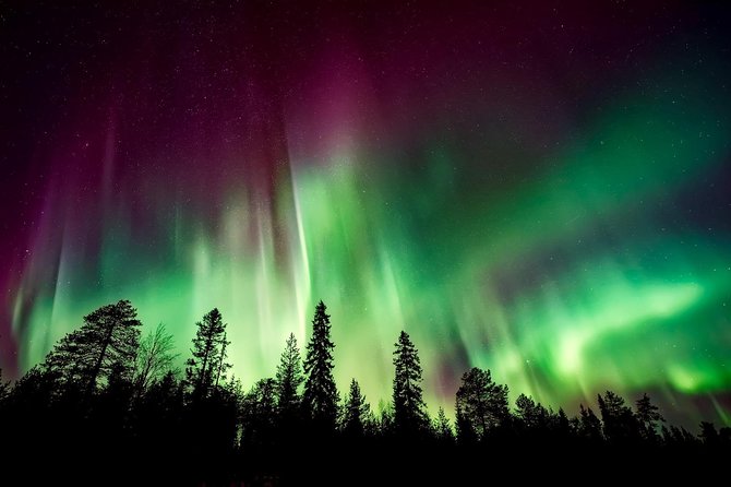 Hunt for the Northern lights in Kiruna - Abisko - Warm clothing is a major practical benefit