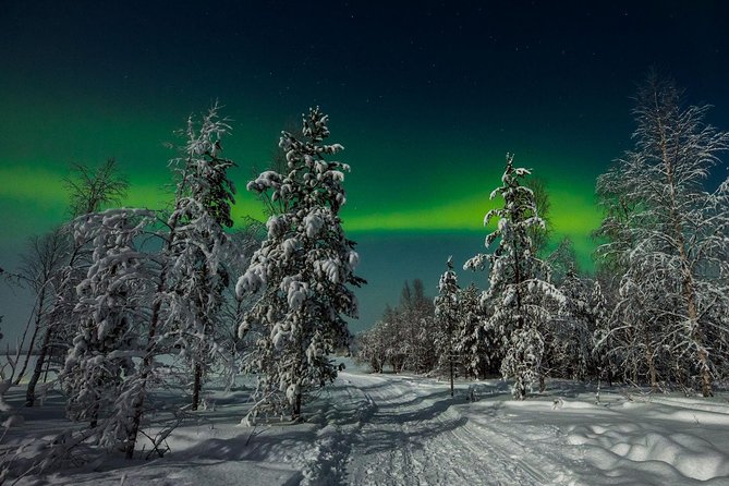Hunting Northern Lights with Husky - Fire, blueberry juice, sausages, and marshmallows