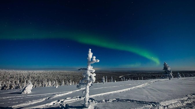 Hunting Northern Lights with Husky - Timing, group size, and the $275.90 price