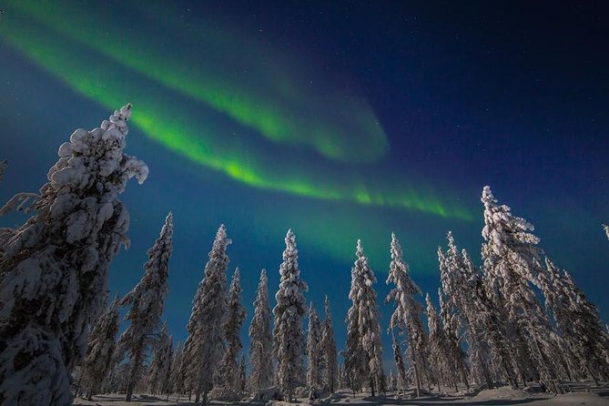 Hunting Northern Lights with Husky - Leaving Santa Claus Holiday Village after dark