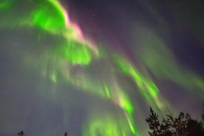 Husky Sled Ride Northern Lights Tour from Kiruna - Key points before you book