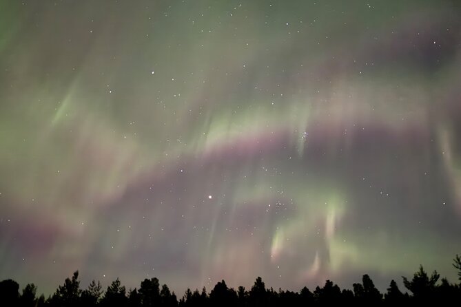Husky Sled Ride Northern Lights Tour from Kiruna - What the price includes at $194.04