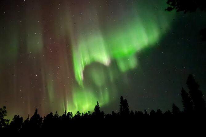 Husky Sled Ride Northern Lights Tour from Kiruna - Pickup, meeting point, and group limits