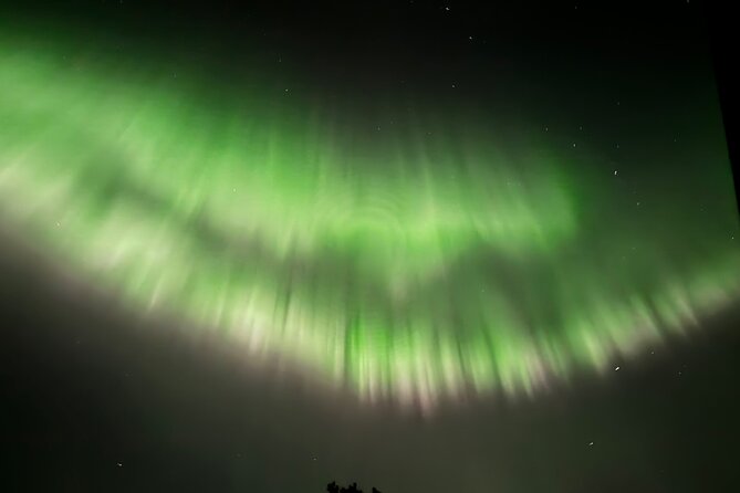 Husky Sled Ride Northern Lights Tour from Kiruna - The dogs are more than transportation