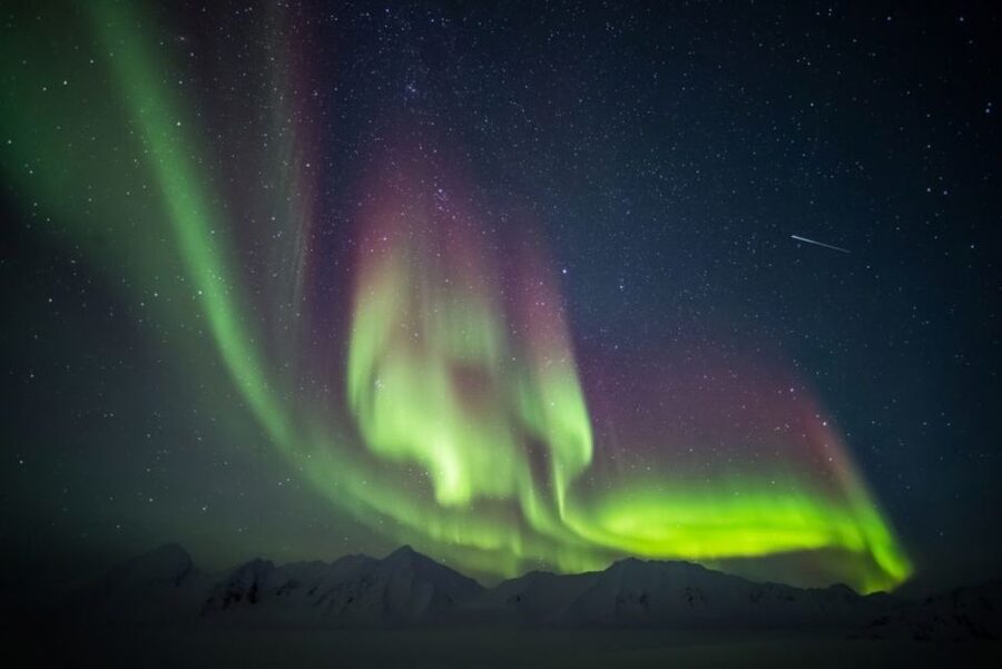 Iceland: South Coast and Northern Lights Tour - Vík, lunch and the southernmost settlement