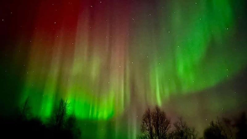 Inari/Ivalo: Aurora Hunting Tour by Car with Warm Drinks - Key points at a glance