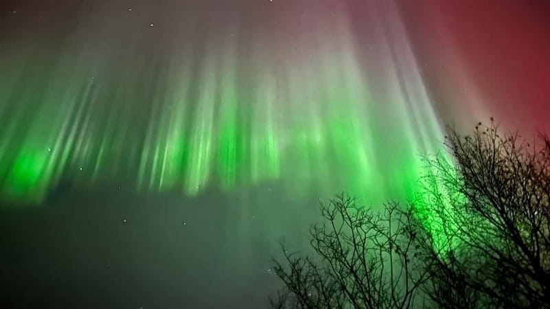Inari/Ivalo: Aurora Hunting Tour by Car with Warm Drinks - What the viewing stops are really like