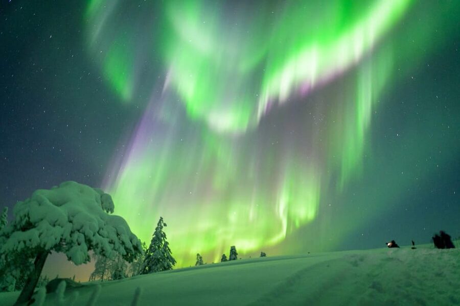 Inari: Northern Lights Hunt Snowmobile Safari - Forest tracks, fields, and silence