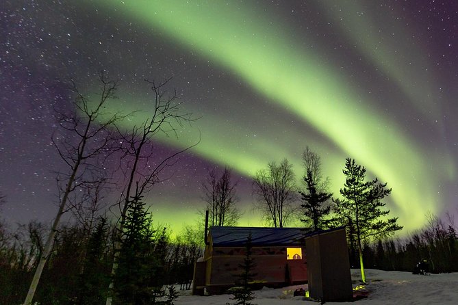 Intimate Aurora Tours Cozy Cabin Bucket List - Tracy’s hospitality is central to the evening