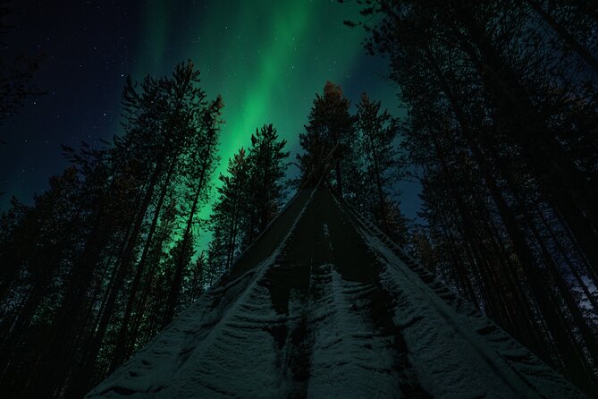 Ivalo: Aurora Hunting with Reindeer - Is $144.19 a fair price?