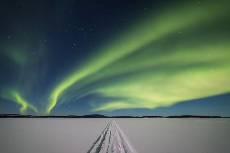 Ivalo: Lake Inari Northern Lights Tour w/ Reindeer & Dinner - Meeting and feeding the reindeer