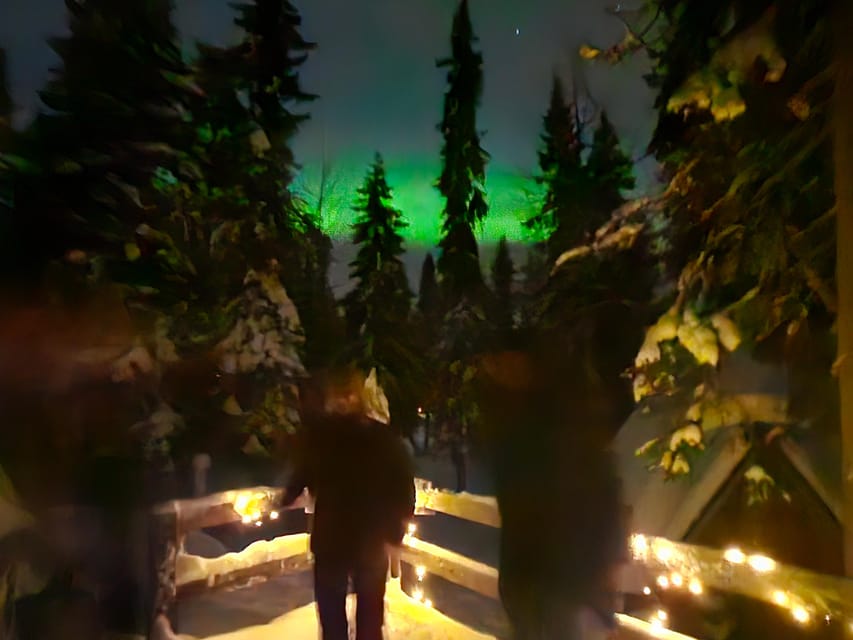 Kemi-Tornio: Starguaranteed Northern Lights Auroras - Who will get the most from this outing?