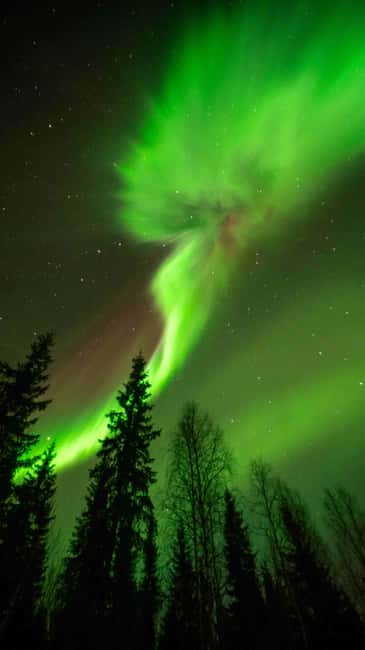 Kemijärvi: Insider Guided Aurora Hunting - Why the Kemijärvi setting matters after dark
