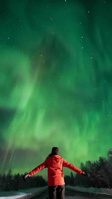 Kemijärvi: Insider Guided Aurora Hunting - What the live data changes