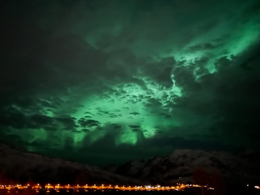 Kirkenes: Northern Lights Chase Tour - The real value of a $786 private group price