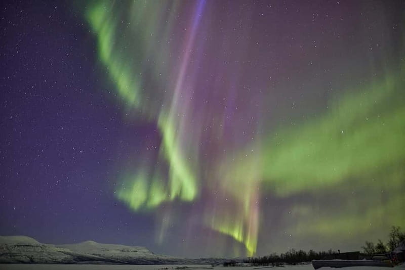 Kiruna: Abisko Northern Lights Tour with Dinner - Key points at a glance