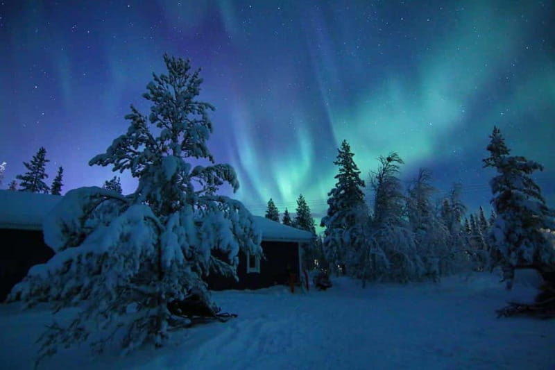 Kiruna: Snowshoe Trek with Aurora Hunt and Warm Beverage - Key details before you book