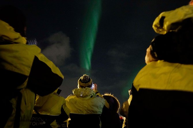 Kopar Fine Dining Dinner and Northern Lights Cruise from Reykjavik - Start with Kopar’s six-course Icelandic dinner
