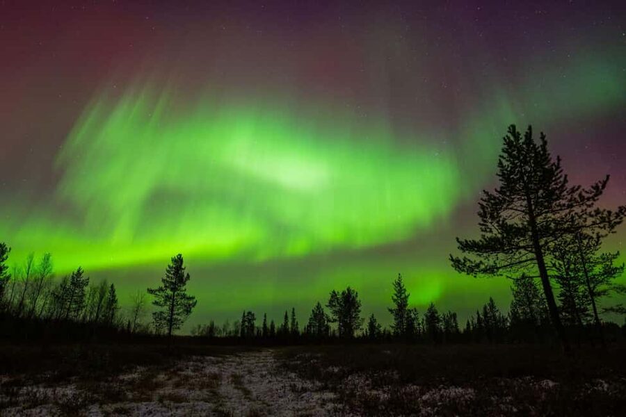 Lapland: Aurora Hunting by Minivan with Guide and Transport - Key points at a glance