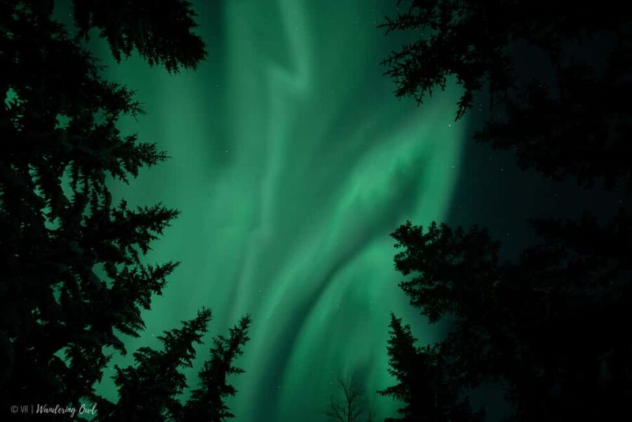 LEVI Adults Only Northern Lights Hunt with Snowshoeing - Key points at a glance