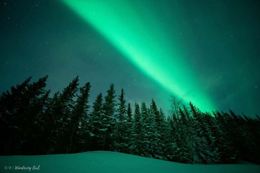 LEVI Adults Only Northern Lights Hunt with Snowshoeing - Why this feels different from a standard aurora outing