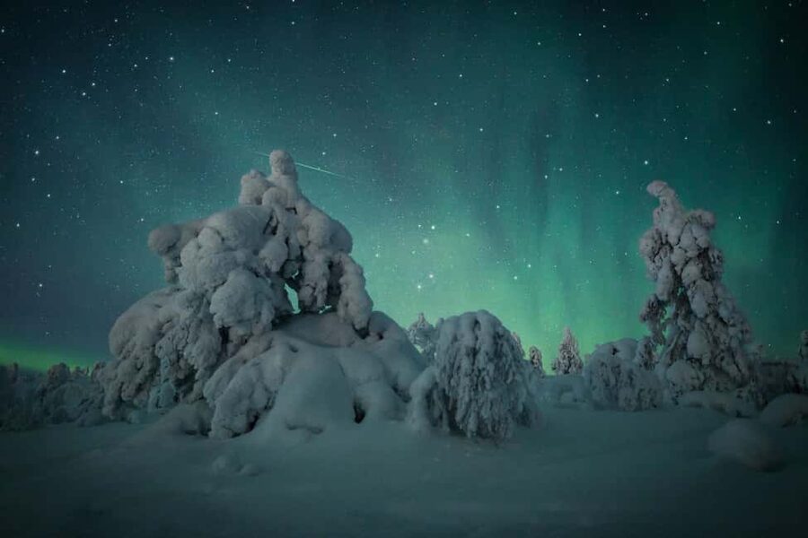 LEVI Adults Only Northern Lights Hunt with Snowshoeing - Snowshoeing through the Finnish forest