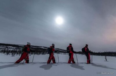 LEVI Adults Only Northern Lights Hunt with Snowshoeing