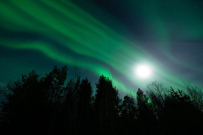 Levi: Aurora Borealis Tour and Stargazing Experience - Stargazing continues even without the aurora