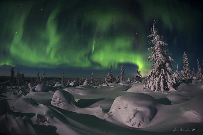 Levi: Aurora Borealis Tour and Stargazing Experience - The guides turn a wait into an active search