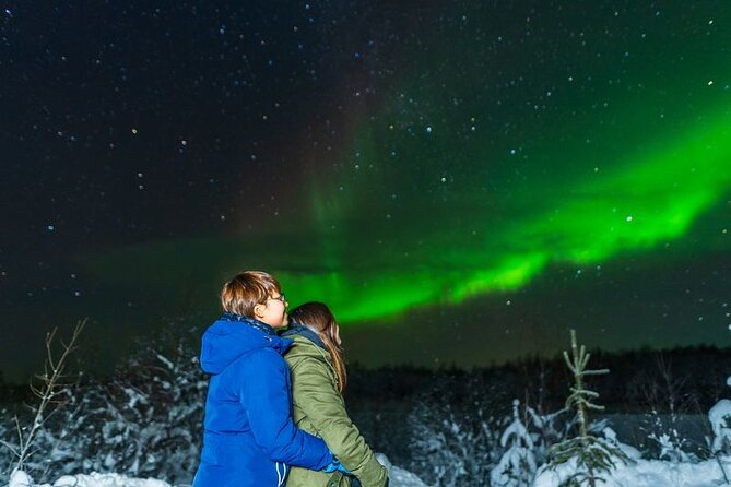 Levi: Aurora Borealis Tour and Stargazing Experience - Is $131.25 a fair price?