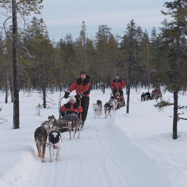Levi: Evening Husky Sled Ride under the Northern Lights - The fire-side break and simple Arctic snack