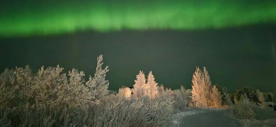 Levi: Northern Lights by Minivan with hot drinks and snacks - Is $116 a fair price?