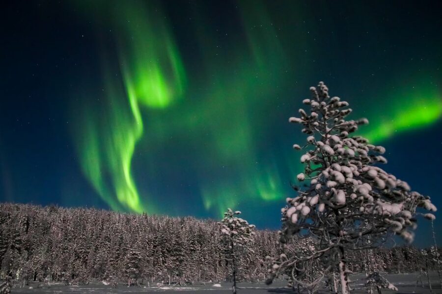 Levi: Northern Lights Campfire - Key points before you book