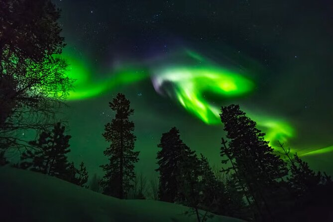Levi Northern Lights Experience - Key points before you book