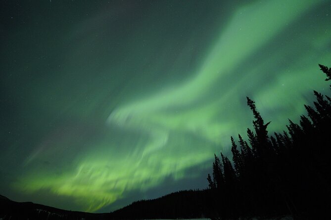 Levi Northern Lights Experience - Food, Finnish flavor, and a simple Arctic pause