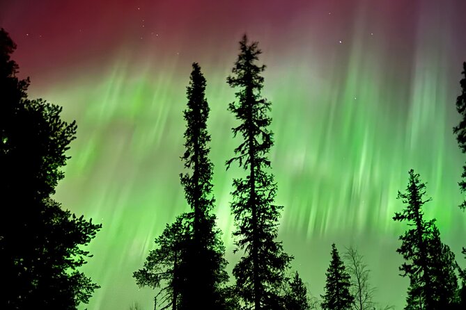 Levi Northern Lights Experience - Key points at a glance