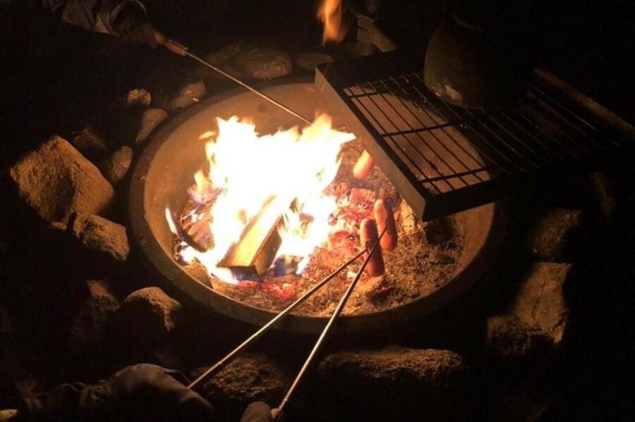 Levi: Northern Lights Hunt Including Campfire Snacks - A quiet Arctic night near Levi