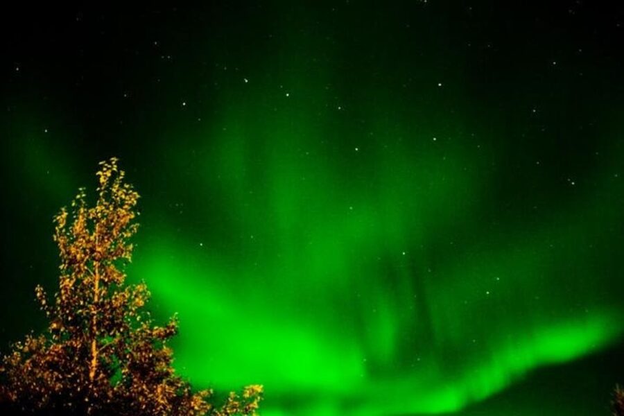 Levi: Northern Lights Hunt Including Campfire Snacks - A note about the snowmobile detail