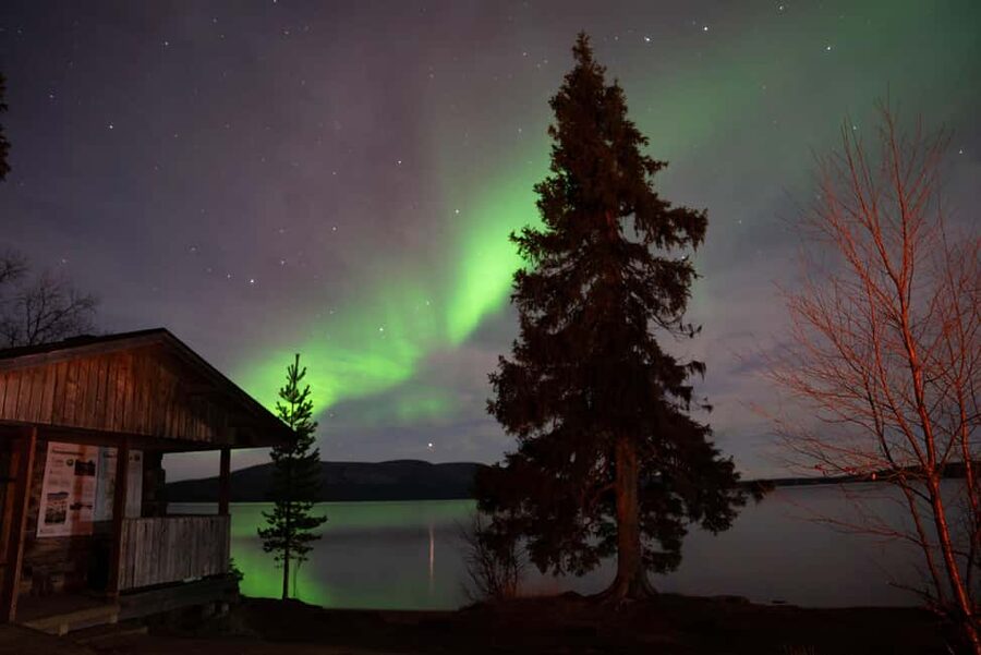 LEVI: Northern Lights Hunting SMALL GROUPS - Key points to know before booking