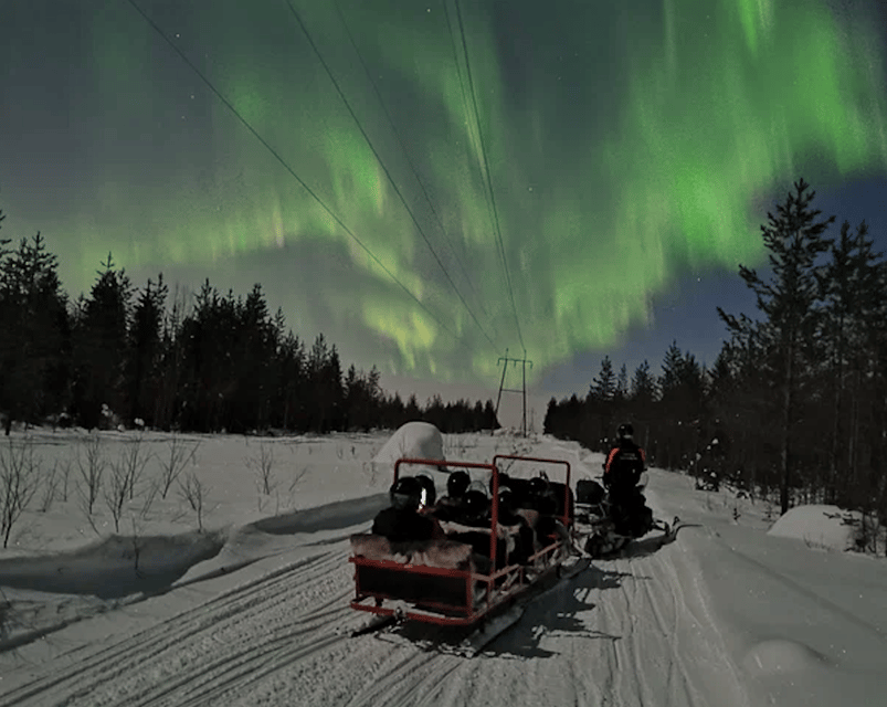 Levi: Northern Lights Sledge Ride - Key points to know before booking