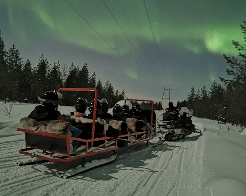 Levi: Northern Lights Sledge Ride - The sledge ride through dark Lapland