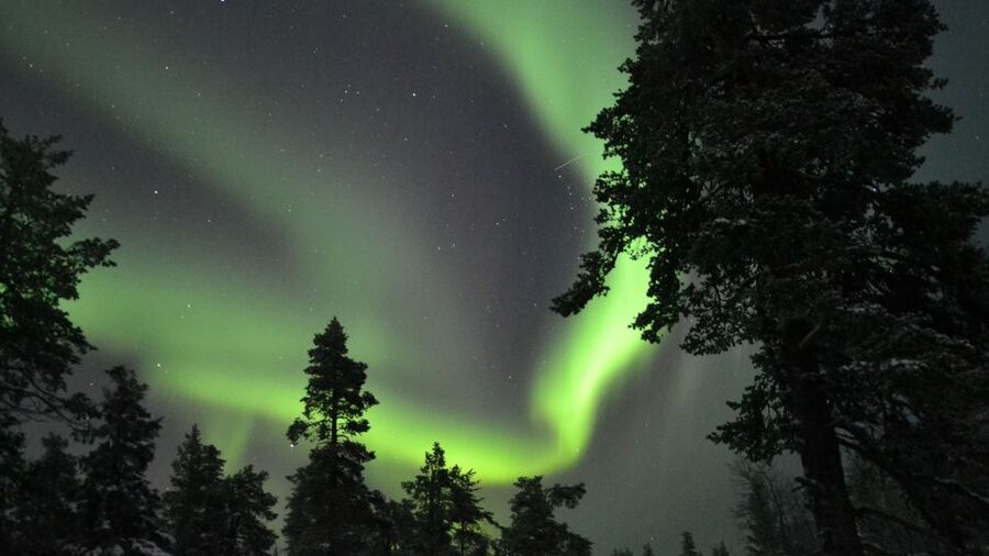 Levi: Northern Lights Snowmobile Tour with Snacks and Drinks - The secret stop, fire, sausage, and hot juice