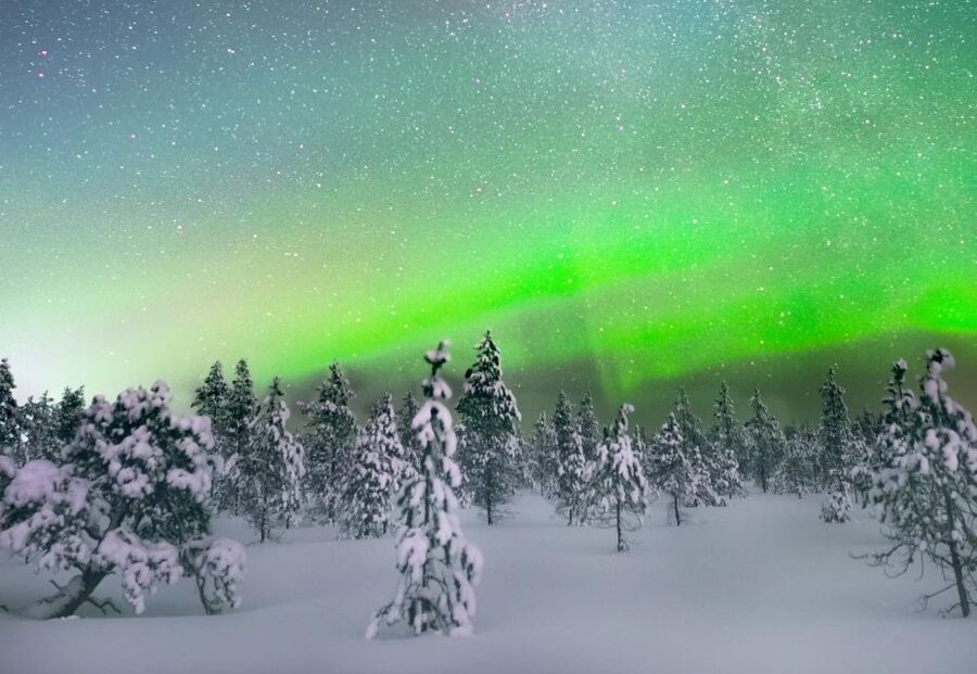 Levi: Northern Lights Snowmobile Tour with Snacks and Drinks - Cost, shared machines, and unexpected charges